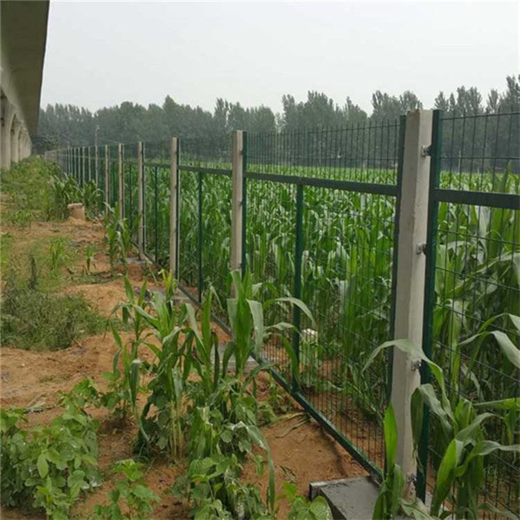 通线2012(8002)图片3