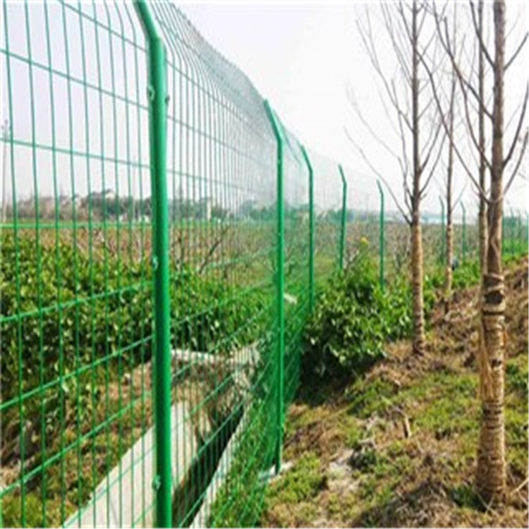 防攀爬护栏网图片4
